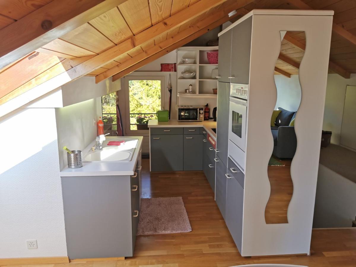 Ula'S Holiday Apartments Beatenberg Extérieur photo